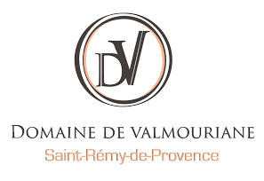 Hôtel Valmouriane Saint-Rémy-de-Provence